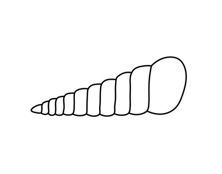 Vector isolated one single simple beautiful sea shell colorless black and white contour line easy drawing