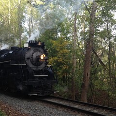 Fototapeta premium Old Fashioned Steam Engine Train Against Trees