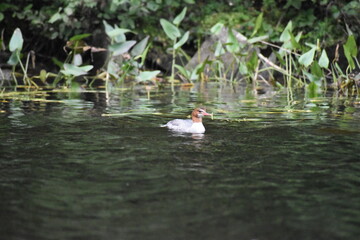 Parc Mauricie Lac Wapizagonke Et Sentier National 7 Septembre 2024