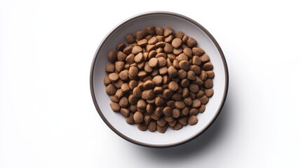 Fototapeta premium Plate of dry pet food isolated on white background