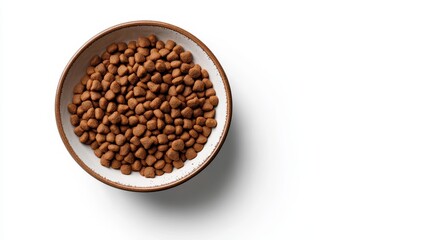 Plate of dry pet food isolated on white background