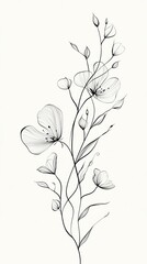 Delicate black and white floral line art illustration