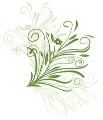 Plant ornament with shadow isolated on white background