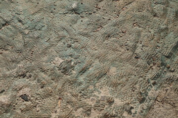 textured surface with the effect of natural camouflage or a skin pattern