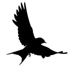 Sparrow Illustration | Sparrow Silhouette | Bird Icon