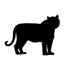 Tiger Illustration | Tiger Silhouette | Tiger Icon