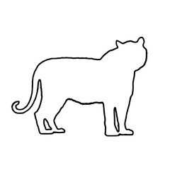 Tiger Outline | Tiger Illustration | Tiger Drawing