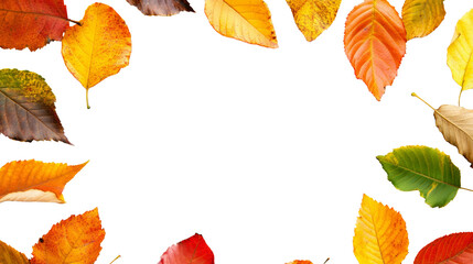 Obraz premium Autumn Leaves Border Frame with Transparent Background