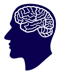 Human head and brain