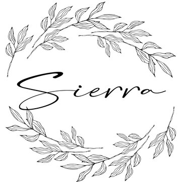 Sierra - colore nero - nome scritto racchiuso in un cerchio corona di foglie Alloro- grafica vettoriale - per siti web, auguri, banner, cartoline, stampe, cricut, silhouette, sublimazione, laurea