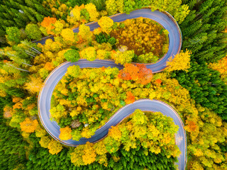 A stunning aerial perspective captures a winding road enveloped by vibrant autumn foliage. The...