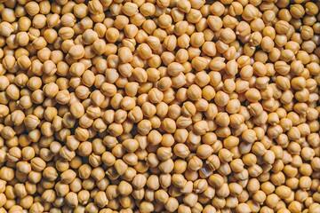 Sunlight filters through green leaves, creating a tranquil and ethereal contrast