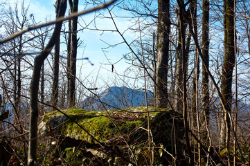 Ancient dolmens of Krasnodar region. Forest with sights.