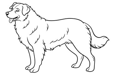 Australian Shepherd silhouette vector illustration