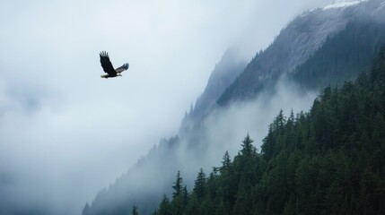 Naklejka premium Eagle Soaring Through Misty Mountains