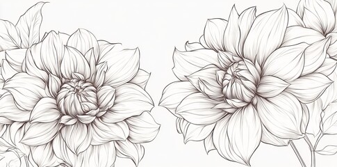 Illustration of a decorative card with floral elements that can be used for invitations and envelopes