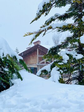 Cozy Cabin Hidden in Snowy Winter Landscape of Lebanon