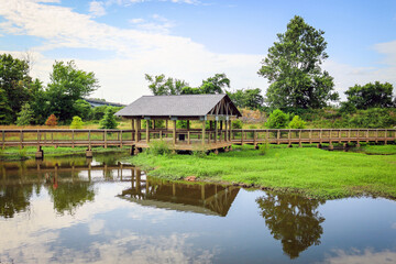 William E. Clark Presidential Park Wetlands
