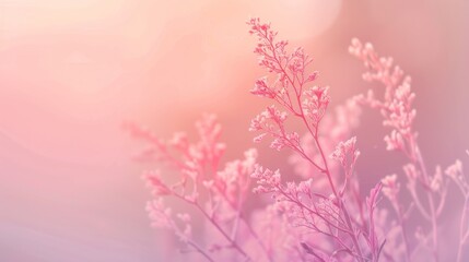 Delicate Pink Flowers in Soft Light