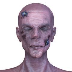 男性ゾンビの顔　3DCGレンダリング