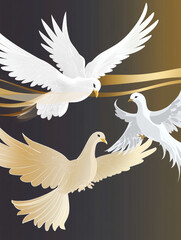 Fototapeta premium dove with wings