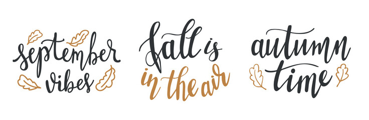 Set of hand drawn lettering fall, autumn season quotes and pharses for cards, banners, posters design. Fall is in the air, september vibes, autumn time