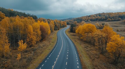 Obraz premium Deserted Straight Mountain Road on a Rainy Autumn Day. Some Fallen Leaves are on the Wet Asphalt. Beautiful Fall Colors.