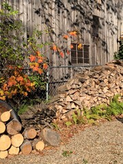 Wood pile