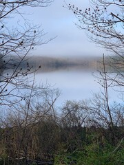 Morning mist