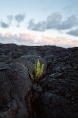 the power of Mother Nature
