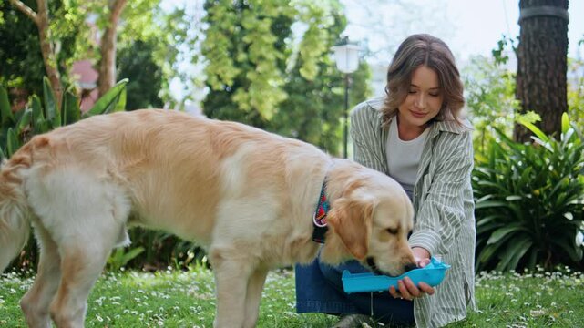 Woman offering water dog in sunny park closeup. Healthy golden retriever licking