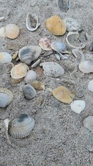 stones on the beach