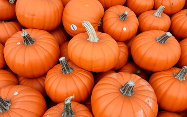 Obraz premium Orange pumpkins piled high, a vibrant autumnal display, perfect for fall decorations and festive celebrations. 