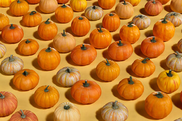3D Background of group of pumpkins 