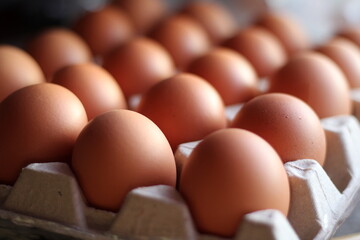 Organic Brown eggs in tray or egg box. Poultry Chicken eggs in carton for grocery or breakfast. Protein diet container in kitchen. Hen farm eggshells collected arranged packaged for sale.