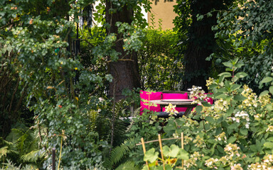 Cozy park bench with pink blanket surrounded by lush green plants, trees, vibrant relaxing spot,...