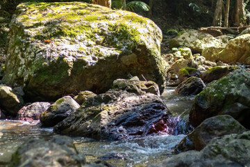 Baxter Creek Background with Selective Focus: Cascades and Boulders in Scenic Sunshine Coast Hinterland, Queensland, Australia