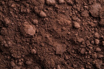 Close-up of rich brown soil texture