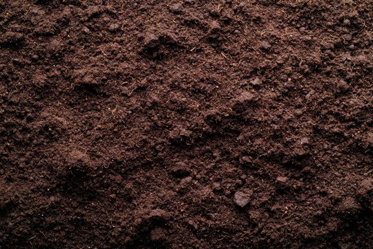 rich dark soil texture background