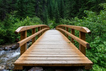 Fototapeta premium Wooden bridge over a stream in a lush green forest