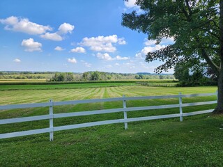 Fototapeta premium field and sky