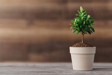 A vibrant green plant in a minimalist pot, showcasing nature's beauty in a cozy wooden setting.