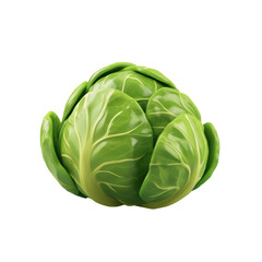 Obraz premium A green cabbage is the main focus of the image