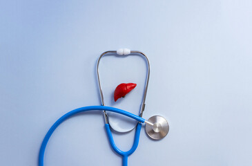 Anatomical model of liver organ and blue stethoscope. Medical banner calendar for hospital or...