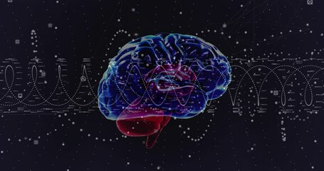 Animation of digital data processing, human brain over dna strand spinning - Powered by Adobe