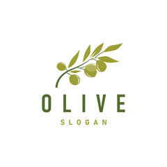 Olive Oil Logo, Olive Leaf Plant Herbal Garden Simple Elegant Luxurious Icon Design Template illustration