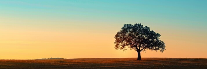 Obraz premium Stunning Tree Silhouette Enriching the Tranquil Rural Skyline