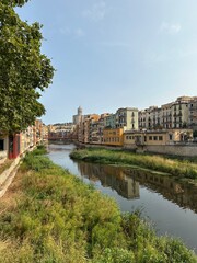 Charming Riverside Cityscape with Colorful Historic Buildings
