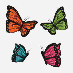 Hand drawn Butterfly illustration vector