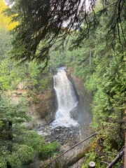 waterfall in the woods